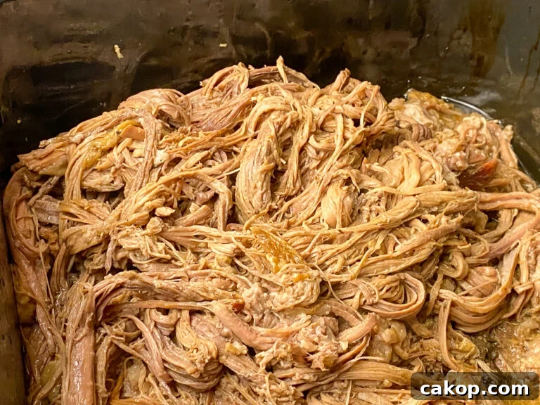 Close up tender shredded brisket in a roaster
