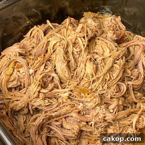 Juicy and tender beef brisket shredded up in a roaster oven