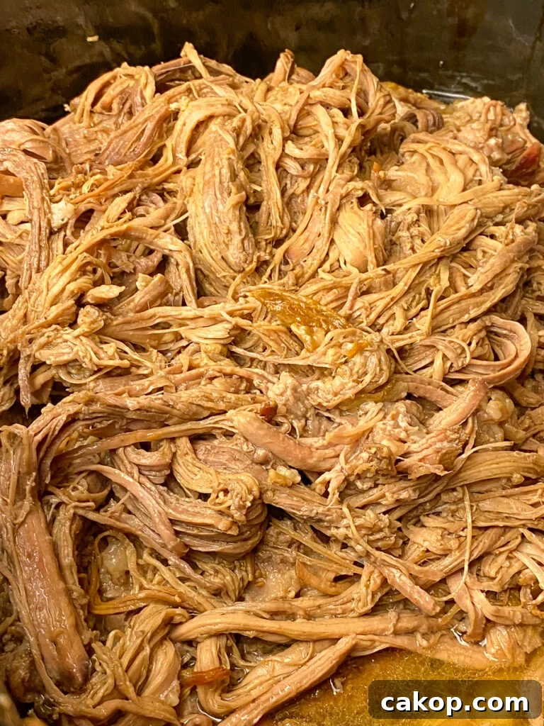 Close up roaster cooked and shredded beef brisket