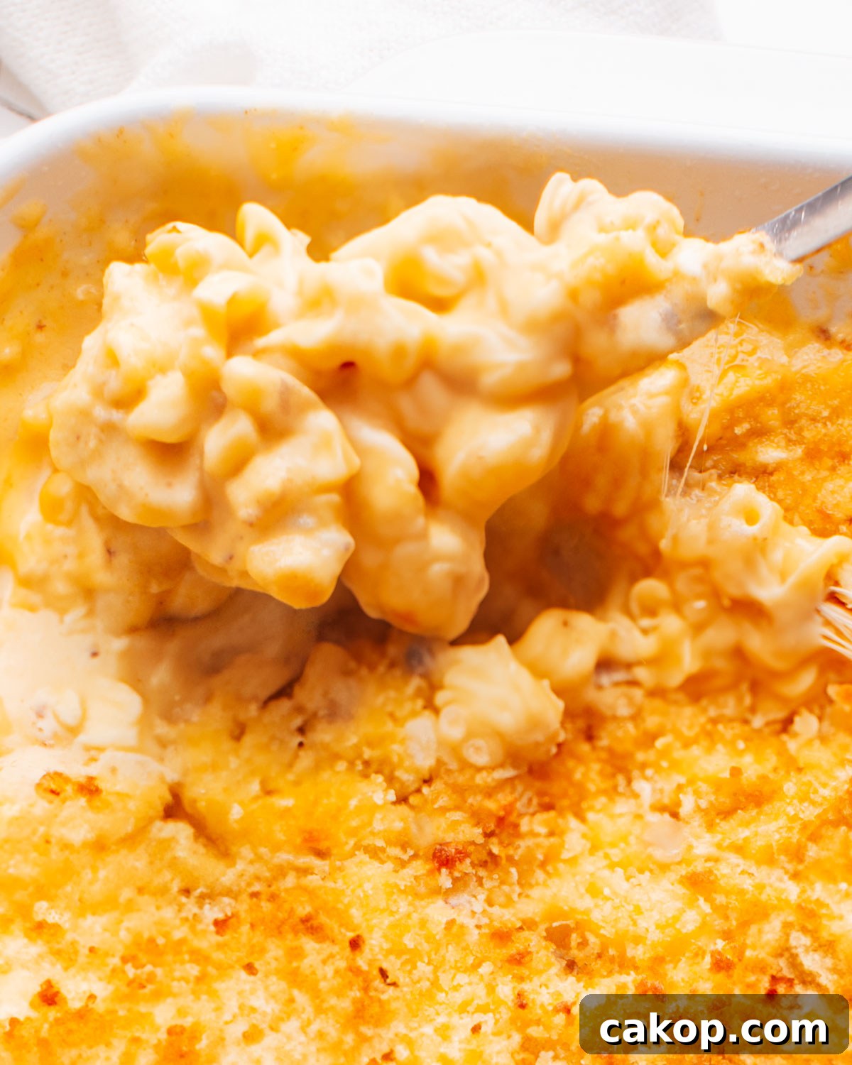 Baked macaroni and cheese ready to serve