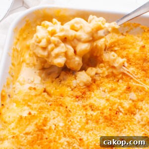 Old fashioned macaroni and cheese in a baking dish with a spoon.