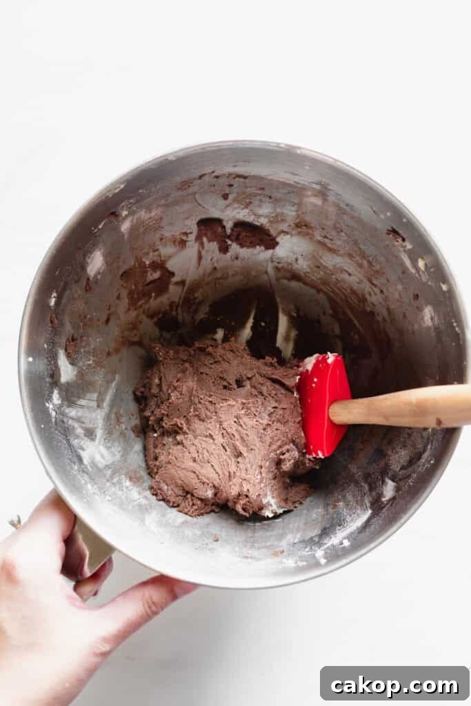 Chocolate Pâte Sucrée: Rich Sweet Tart Crust Recipe 6 img 2746 5