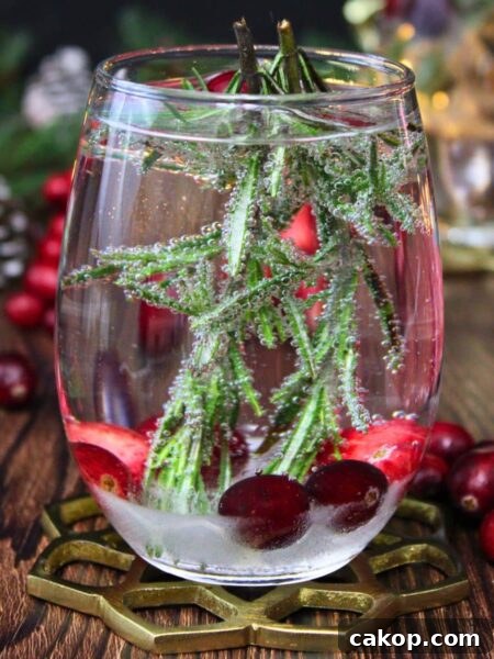 snow globe cocktail recipe dinners done quick featured image