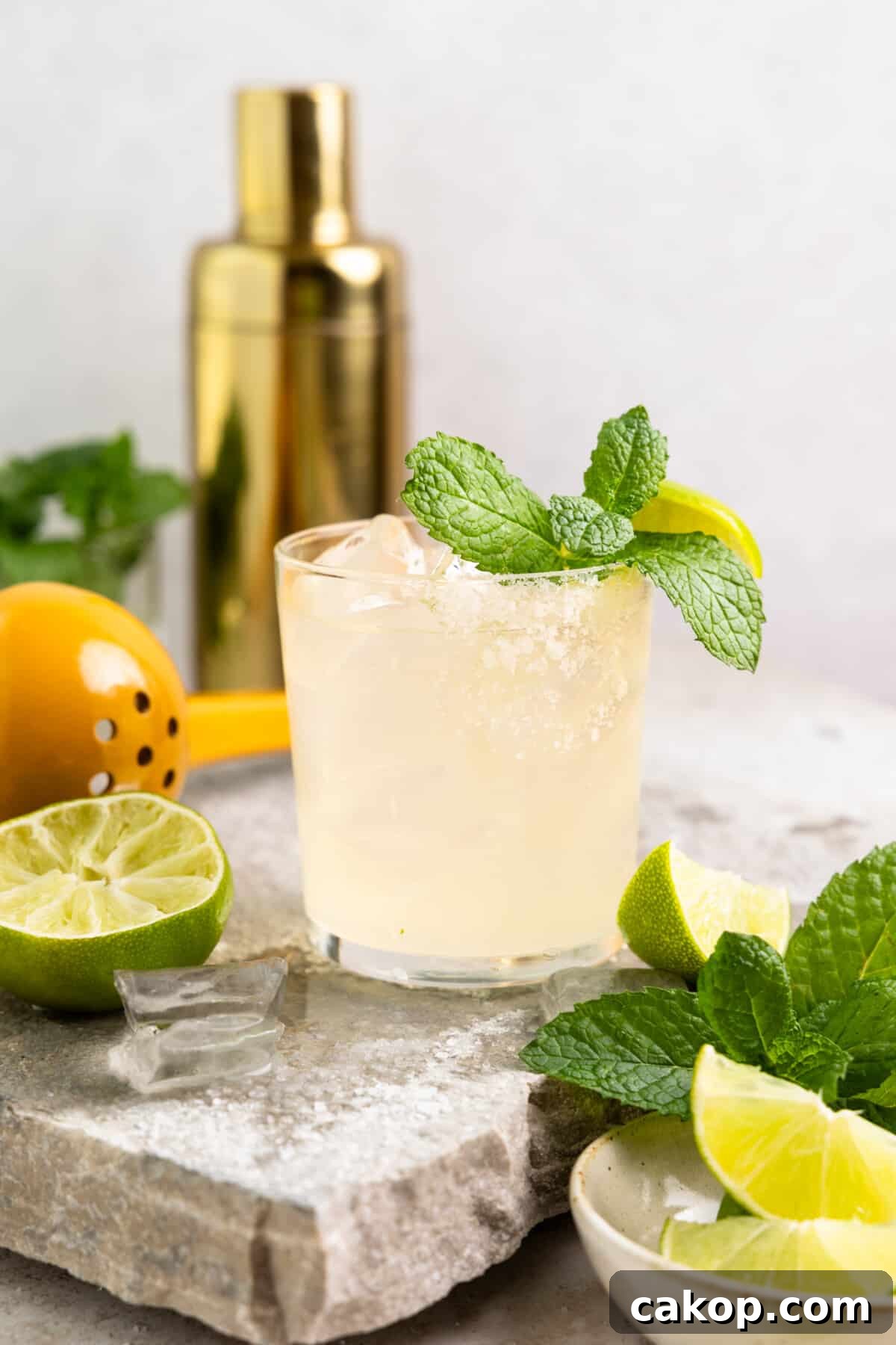 Glass filled with margarita and garnished with mint leaves. 