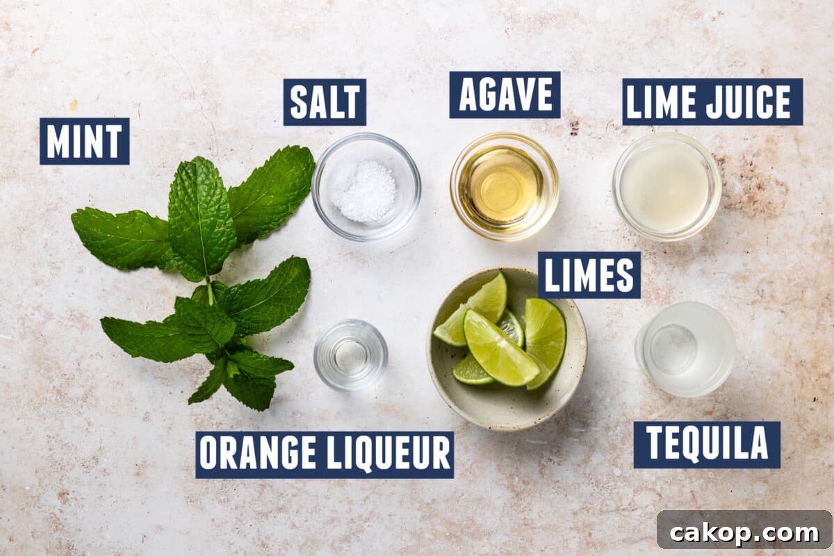 Ingredients needed for a mint margarita laid on the counter. 