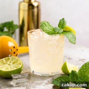 Glass filled with margarita and garnished with mint leaves.
