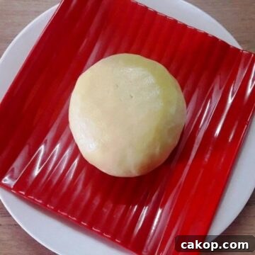instant mawa or khoya served on a plate.