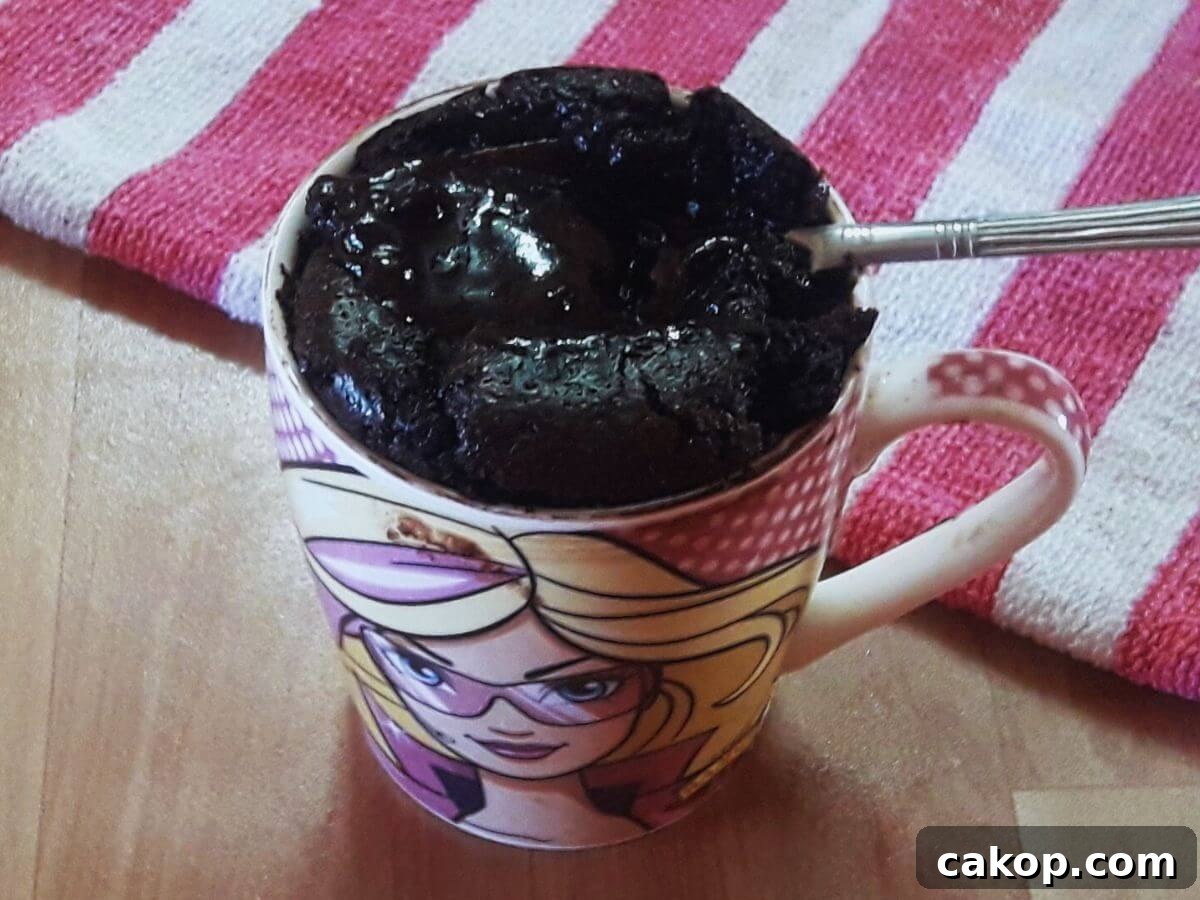 2-Minute Microwave Chocolate Mug Cake Recipe 3 img 29911 2