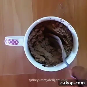 2-Minute Microwave Chocolate Mug Cake Recipe 4 whisking all the dry ingredients to make chocolate mug cake recipe.