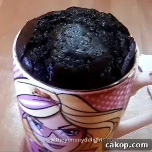 2-Minute Microwave Chocolate Mug Cake Recipe 8 final view of chocolate mug cake.