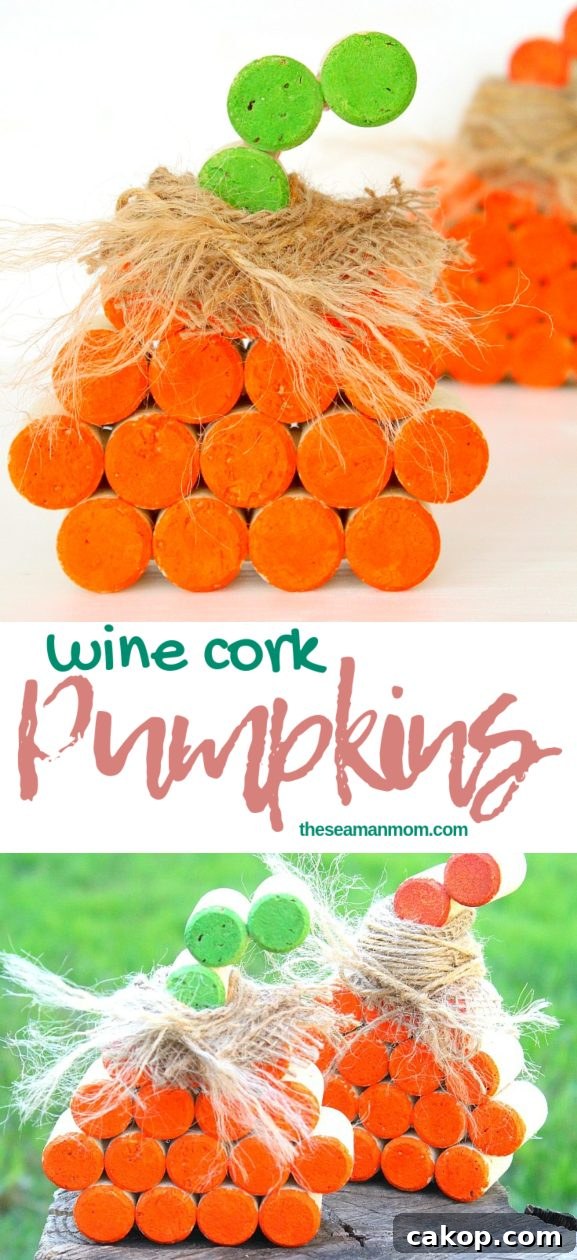DIY Cork Picture Frame Made from Recycled Wine Corks 16 Wine cork pumpkins