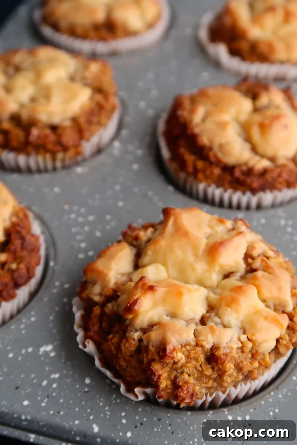 Oatmeal Pumpkin Muffins with Cream Cheese (Flourless)