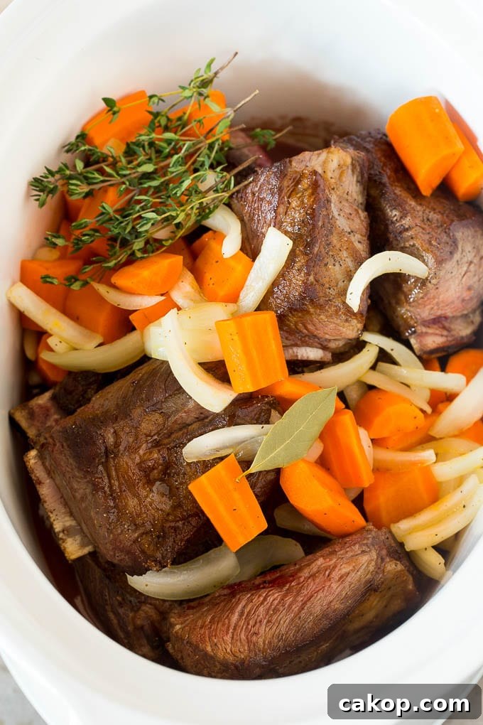 Tender Slow Cooker Short Ribs Recipe for Melt-in-Your-Mouth Beef 5 Short ribs in a slow cooker with sauce, carrots and herbs.