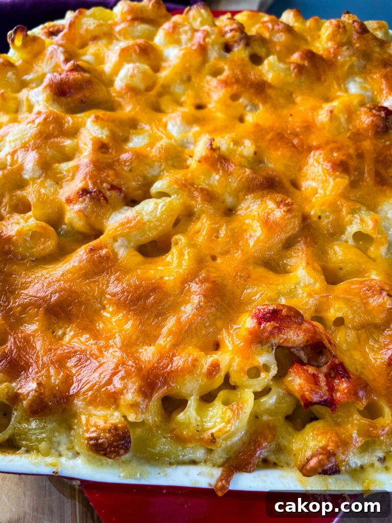 close up view of lobster mac and cheese in a baking dish