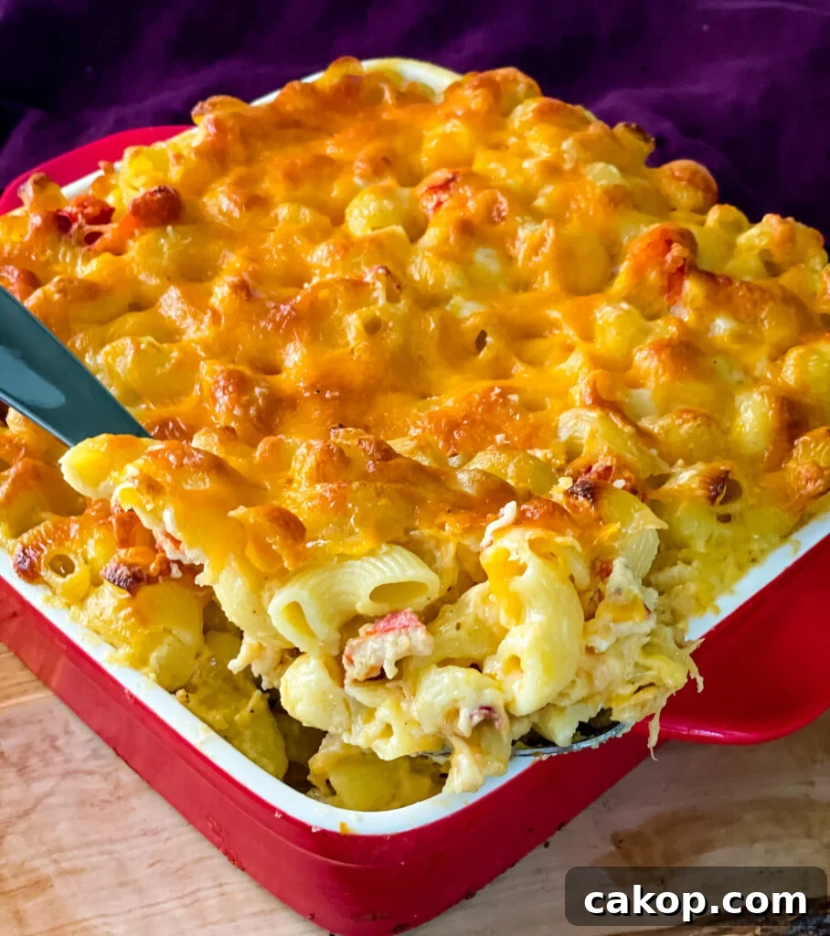 a large spoonful of lobster mac and cheese