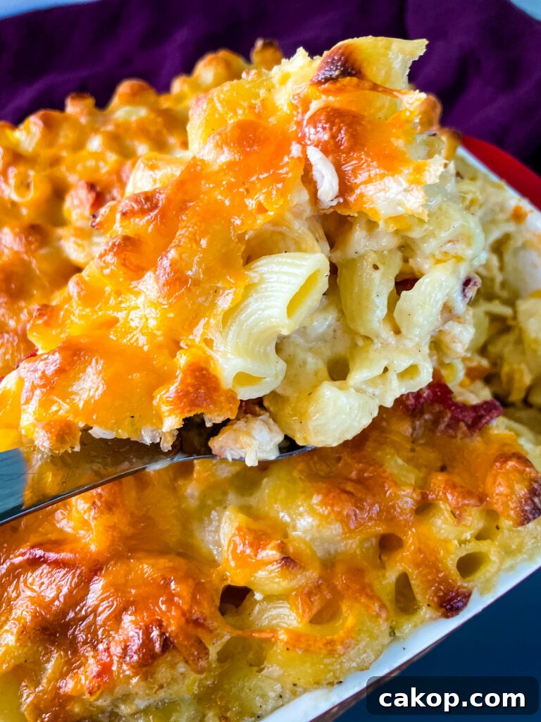 a large spoonful of lobster mac and cheese