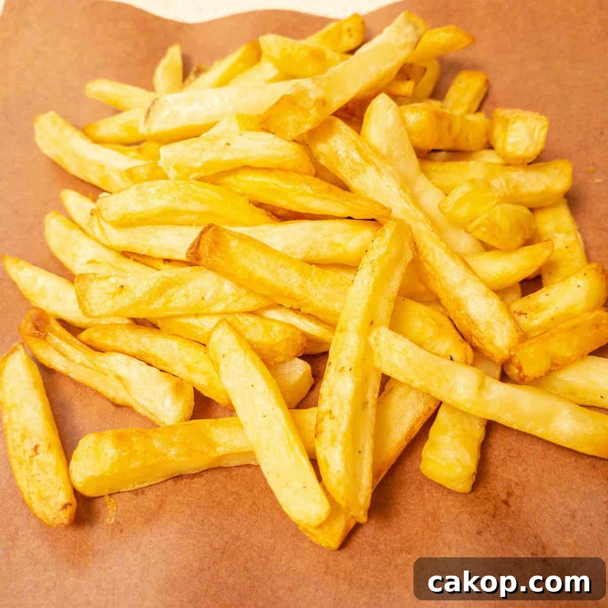 air fryer frozen french fries close up featured image