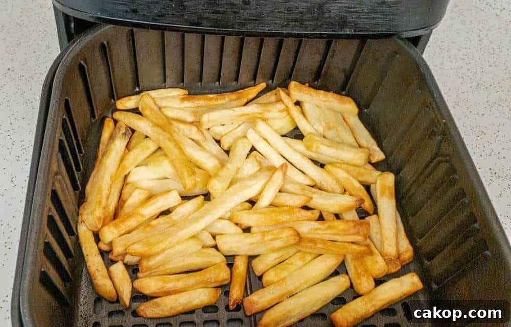 Crispy air fryer french fries ready to eat
