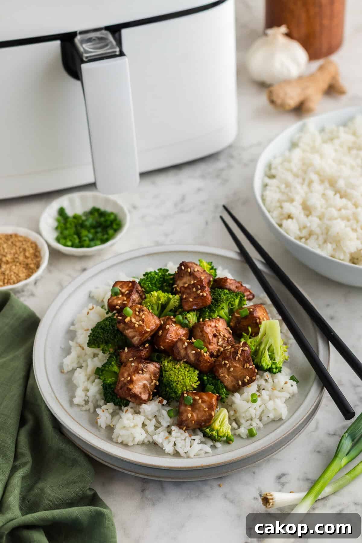 Crispy Air Fryer Teriyaki Salmon Bites Recipe 2 Teriyaki salmon bites