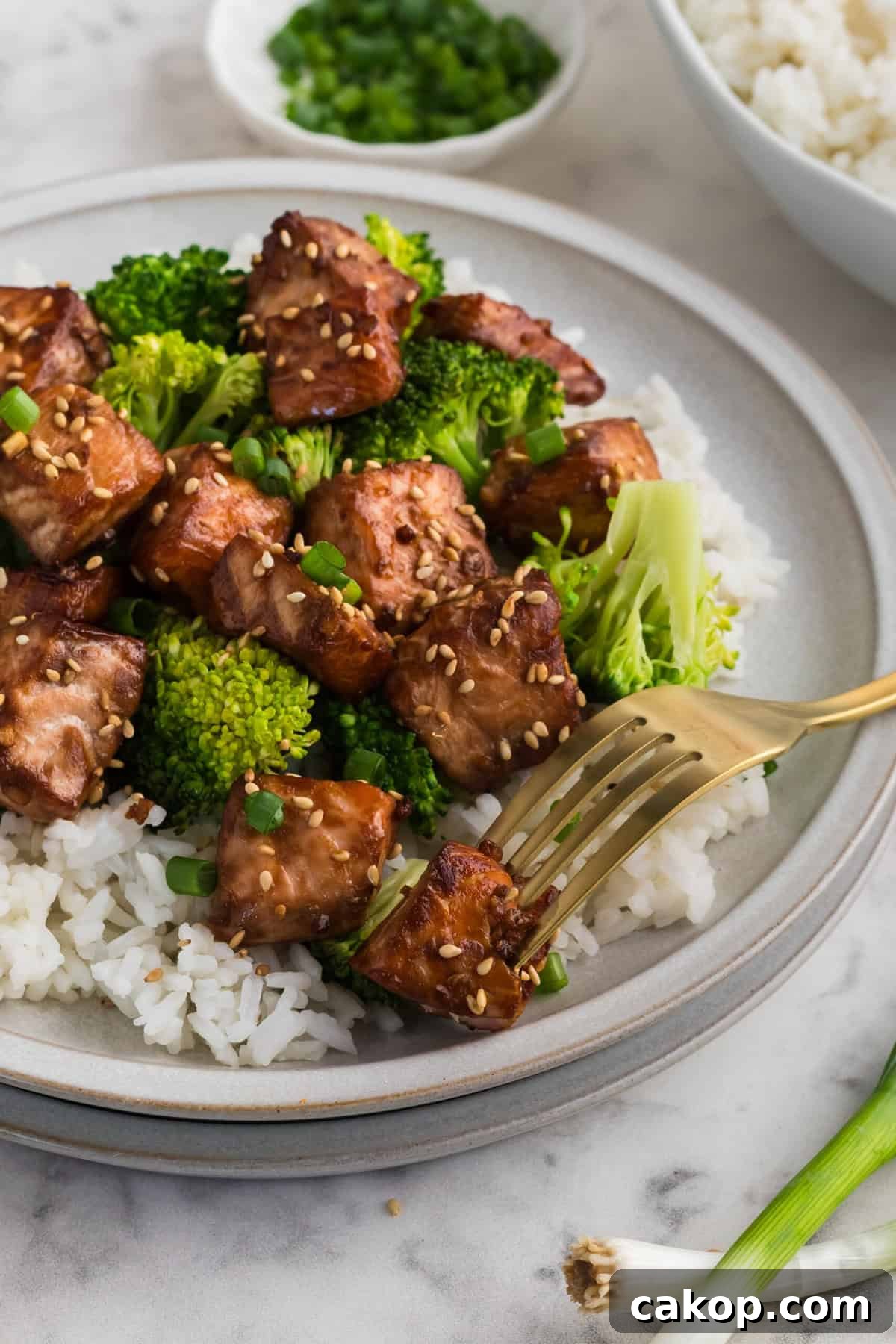 Crispy Air Fryer Teriyaki Salmon Bites Recipe 11 Finished teriyaki salmon bites