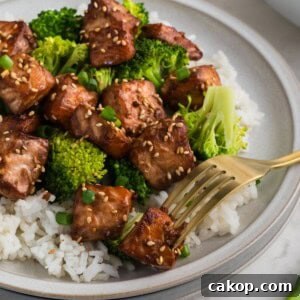 Crispy Air Fryer Teriyaki Salmon Bites Recipe 16 Air Fryer Teriyaki Salmon Bites