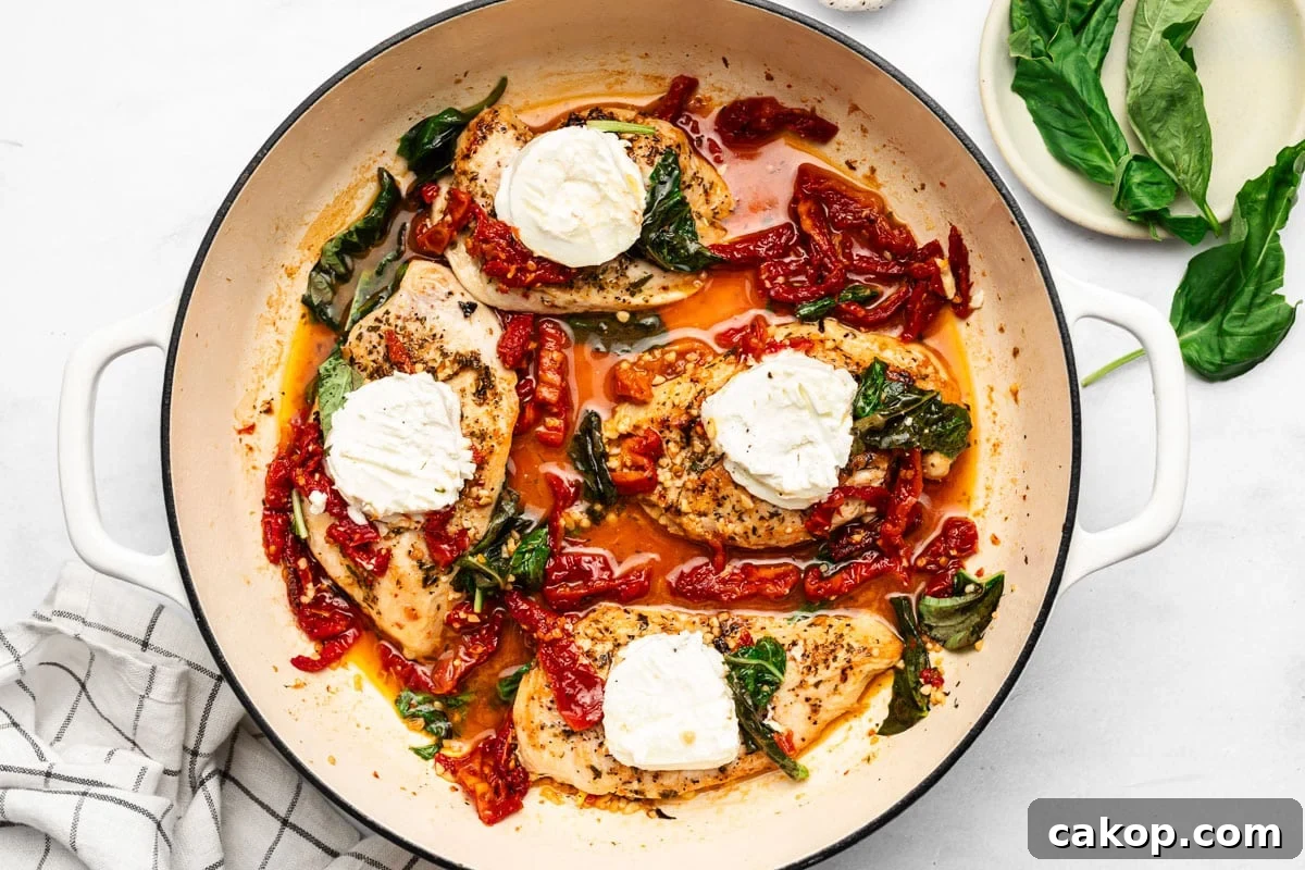 Chicken in skillet with goat cheese melting