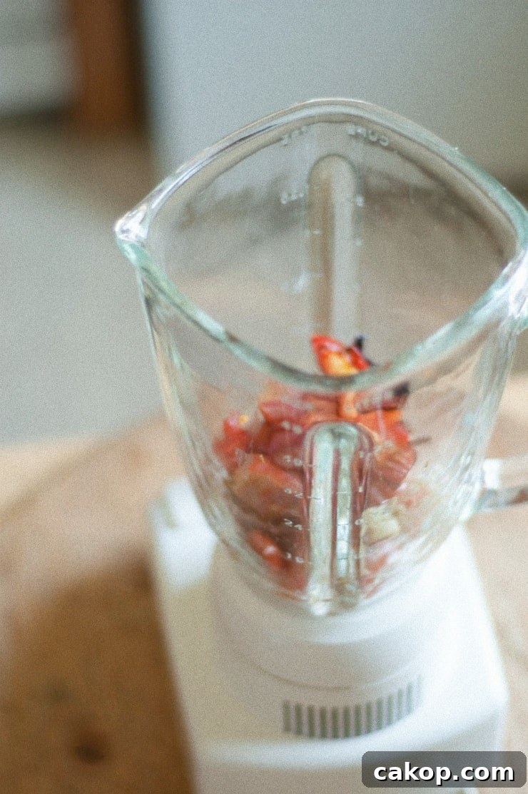 Roasted tomatoes in blender
