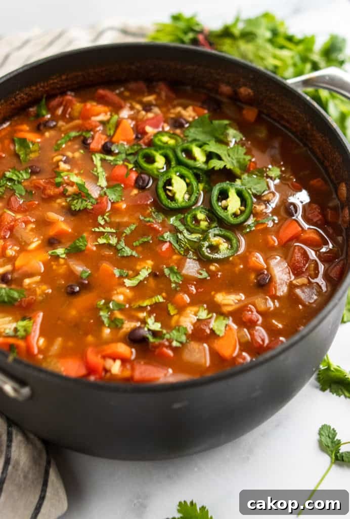 Hearty Black Bean and Rice Soup Recipe 3 Pan of black bean rice soup.