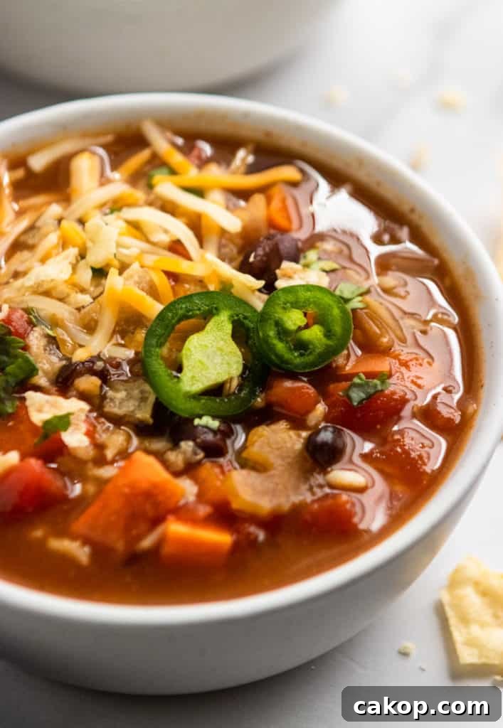 Hearty Black Bean and Rice Soup Recipe 5 Close up shot of bowl of soup.