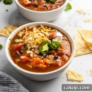 Hearty Black Bean and Rice Soup Recipe 6 Black Bean and Rice Soup