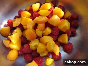 Apricot Raspberry Jam