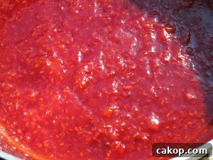 Apricot Raspberry Jam