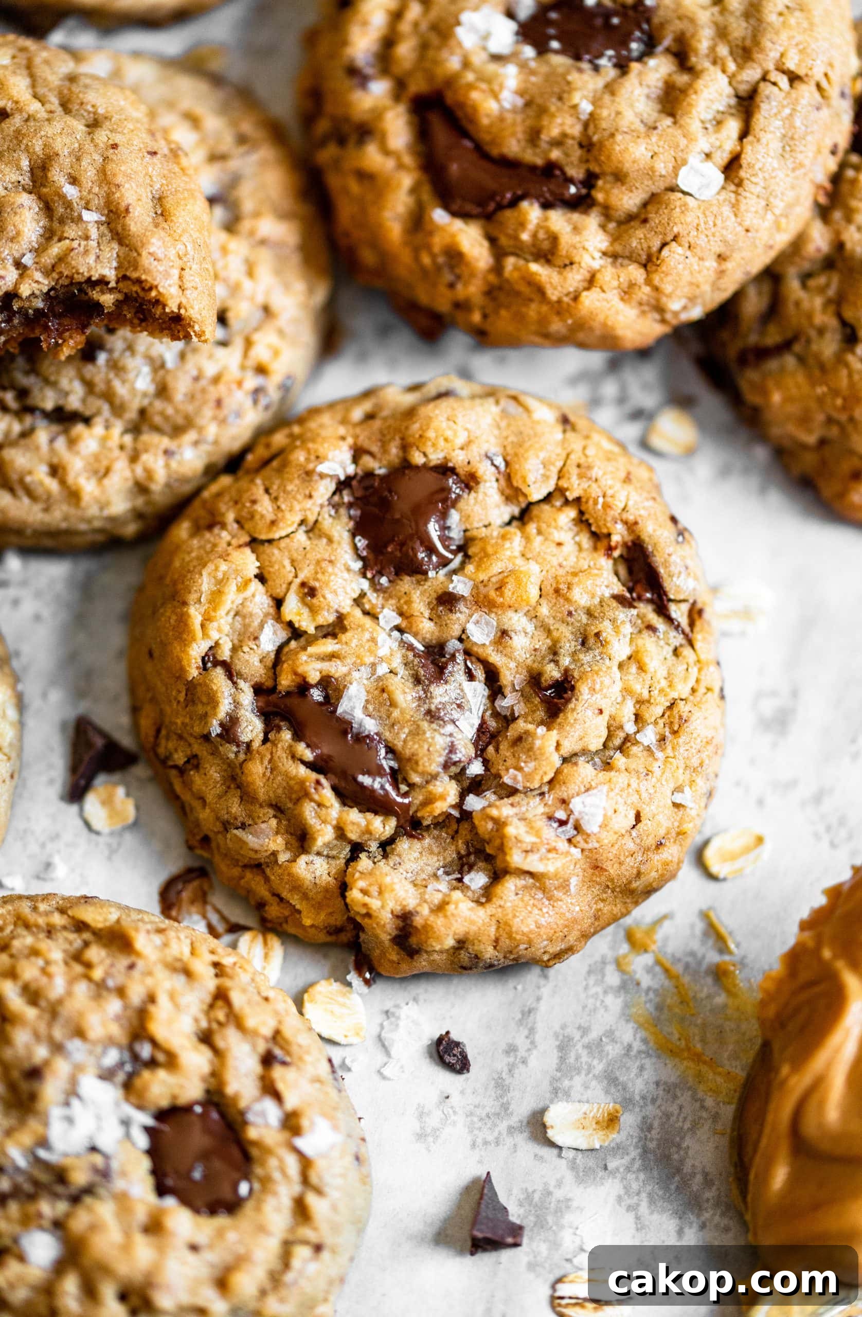 Peanut Butter Chocolate Chunk Oatmeal Cookies