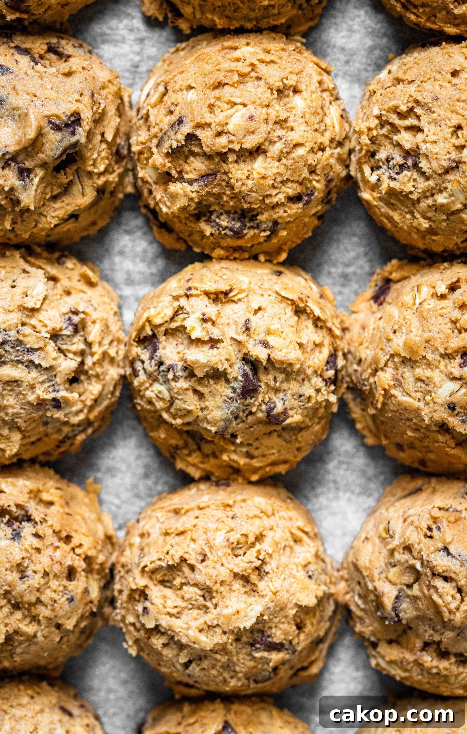 Peanut Butter Chocolate Chunk Oatmeal Cookies