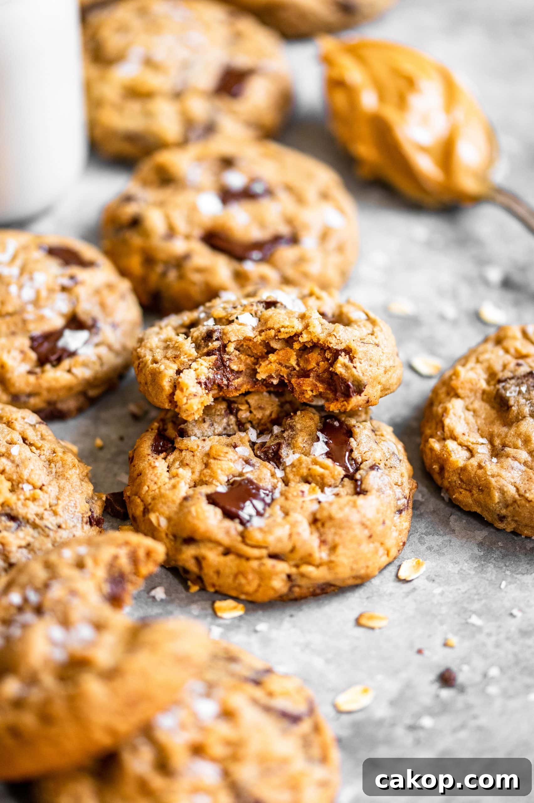 Peanut Butter Chocolate Chunk Oatmeal Cookies