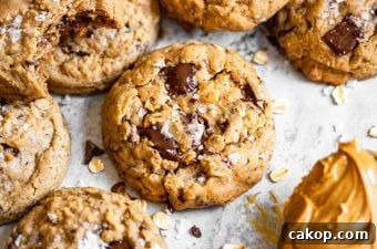 Peanut Butter Chocolate Chunk Oatmeal Cookies