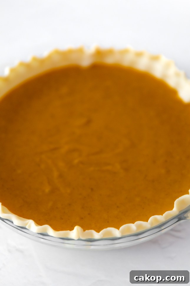 Vegan Pumpkin Pie Recipe: Creamy Dairy-Free Holiday Dessert 3 Photo of a vegan pumpkin pie before baking