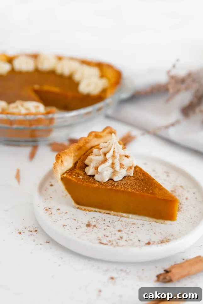 Vegan Pumpkin Pie Recipe: Creamy Dairy-Free Holiday Dessert 4 Photo of a slice of vegan pumpkin pie