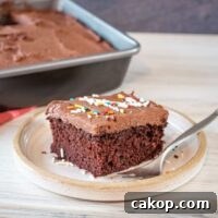 chocolate coconut oil cake slice on a plate
