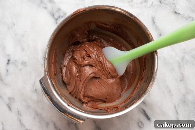 Chocolate cake batter