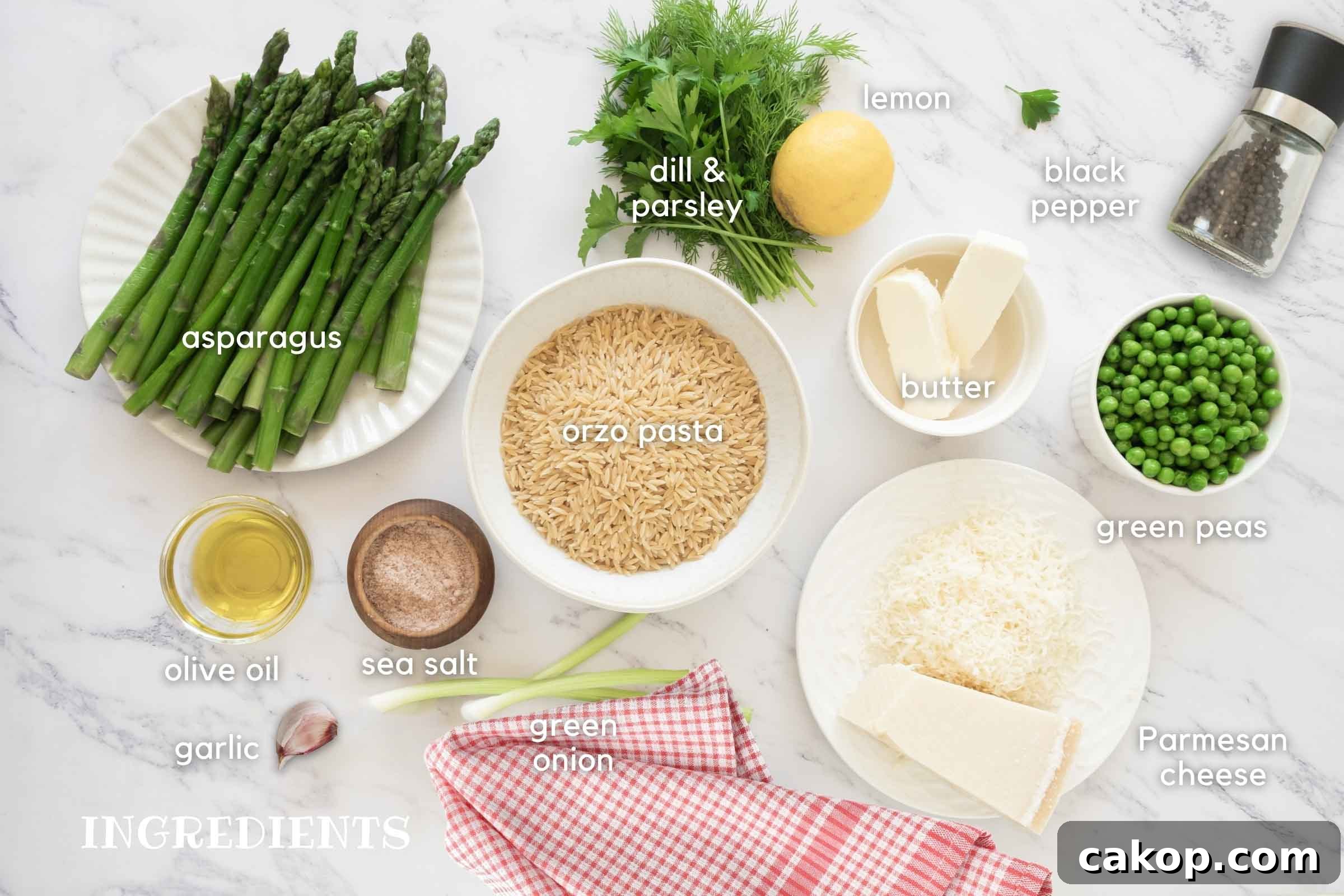 Labeled image of ingredients: asparagus, fresh dill and parsley, lemon, black pepper, green peas, Parmesan cheese, butter, orzo pasta, sea salt, olive oil, garlic clove, and green onion.