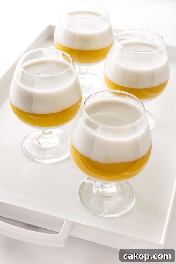 Coconut Mango Panna Cotta Recipe with Creamy Tropical Layered Dessert 4 4 servings of Coconut-Mango Panna Cotta ready for the refrigerator.