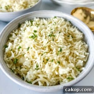 A white bowl of Instant Pot Rice ready to serve.