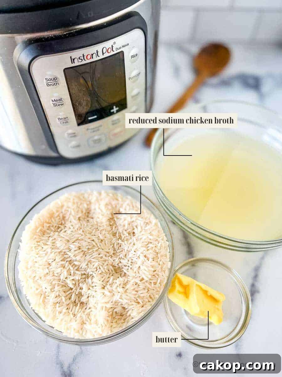 Labeled ingredients for basmati rice recipe.