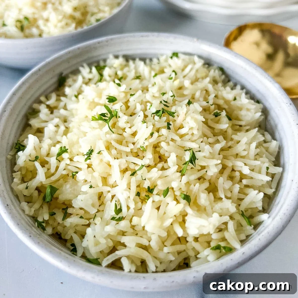 A white bowl of Instant Pot Rice ready to serve.