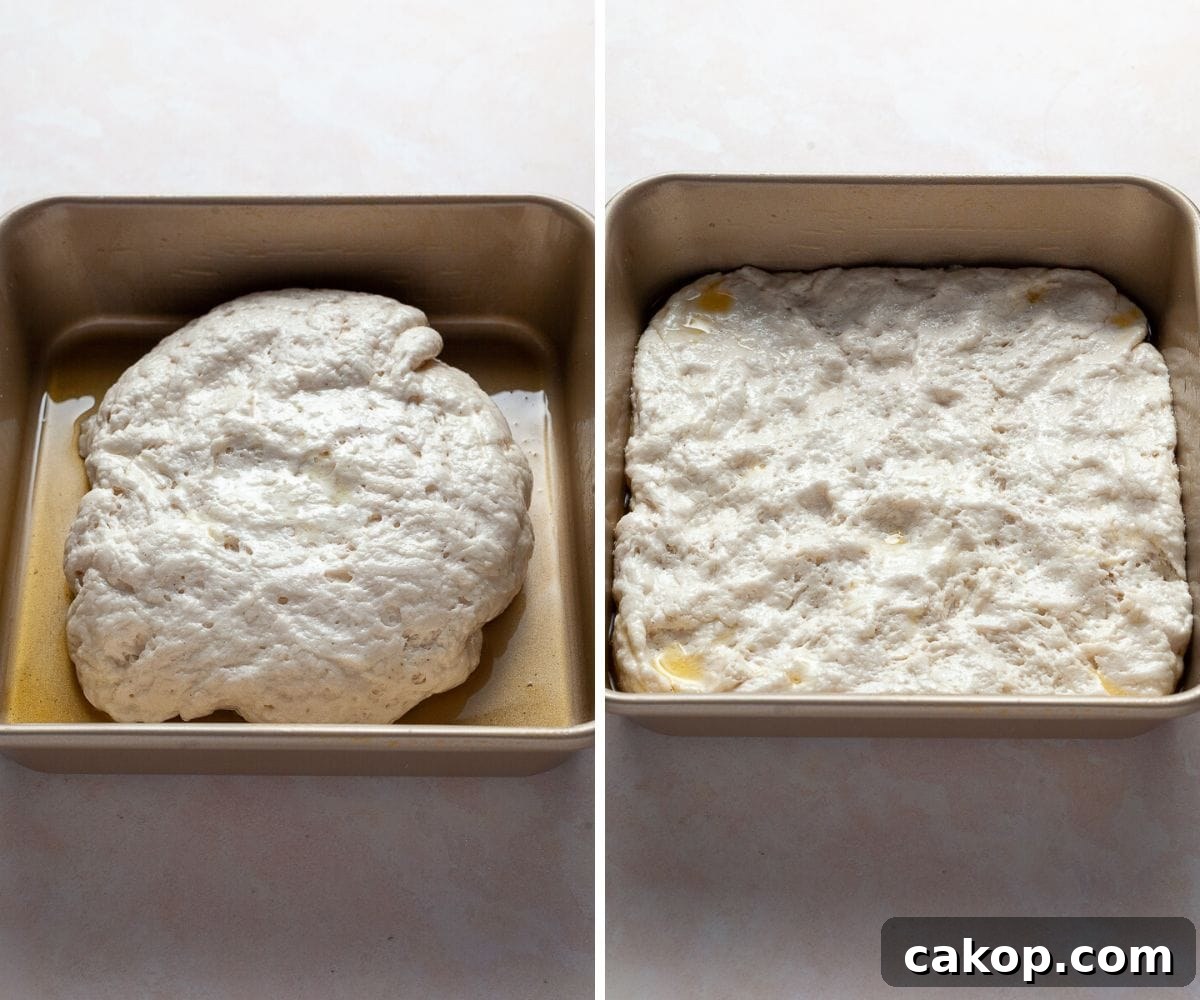 Gluten-Free No-Knead Focaccia Recipe for Crispy, Airy Bread 6 img 4221 6