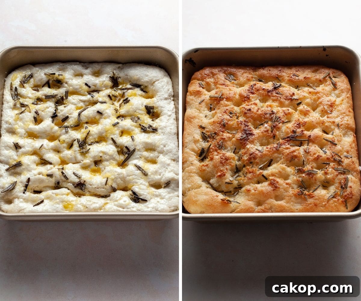 Gluten-Free No-Knead Focaccia Recipe for Crispy, Airy Bread 8 img 4221 8