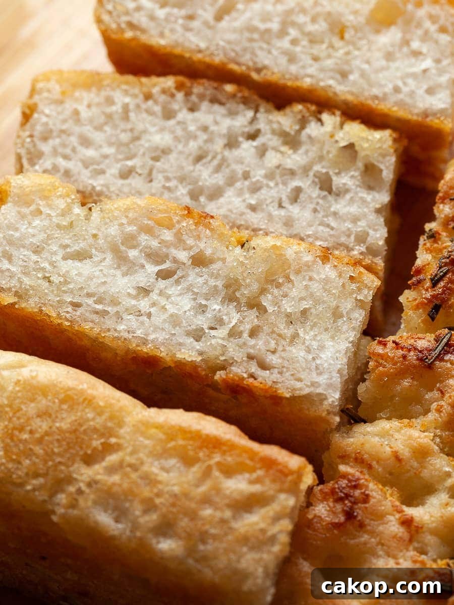 Gluten-Free No-Knead Focaccia Recipe for Crispy, Airy Bread 9 img 4221 9