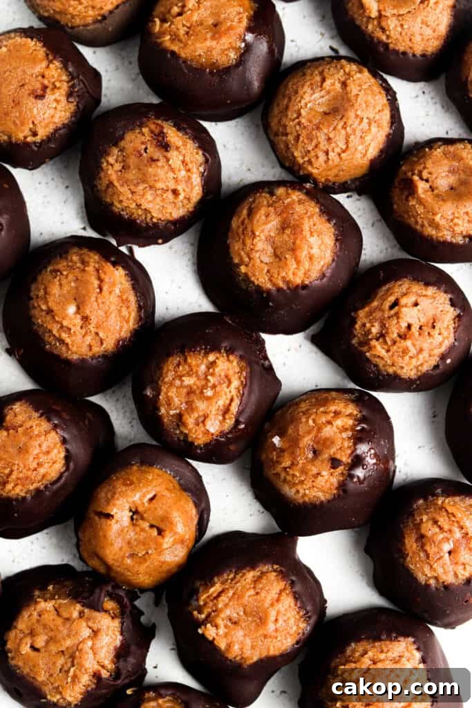 vegan buckeyes lined up on a sheet