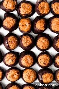 vegan buckeyes 5 scaled